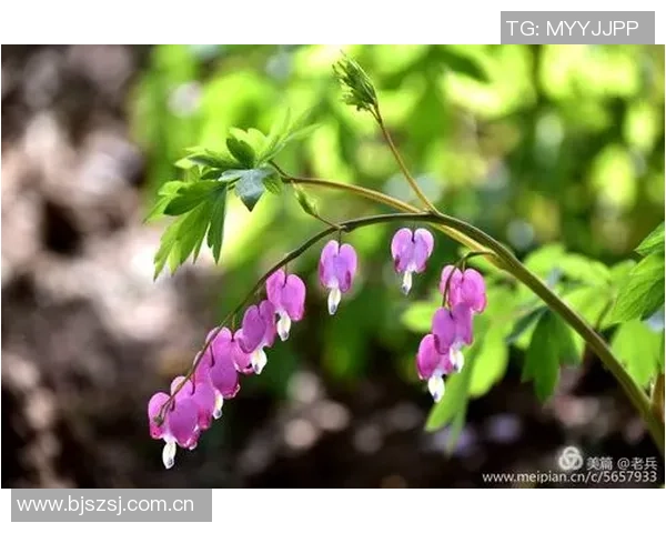 金特罗：我心中的河床如同皇家马德里南美足球赋予我无限可能